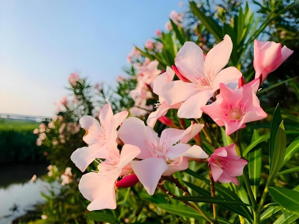 Pingview Villa Resort Tak Εξωτερικό φωτογραφία